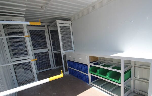 Workshops - Image 3